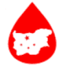 Regional Centre of 