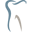 Ryan Dental Group
