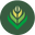 REBEL HERBS