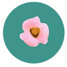 Rebloom Hawaiʻi Furniture and Decor