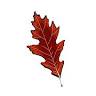 The Red Oak Refillery