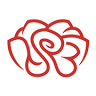 Zirigová Katarína - Red Rose