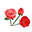Red Rose Carriages