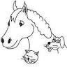 Karina Larsens veterinary medicine Ltd.