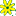 Gartenbau – Blumen Robert Reißer