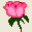 Reliable Roses