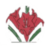Relyea Funeral Home