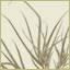 Renata Fairhall Garden Designs Pty Ltd