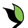 RESEED CERAMICS