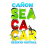 Seacacar Jungle Hotel & Nature Preserve