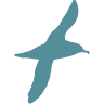 L'Albatros à Bonifacio