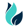 RevitaLife