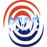 Revive Disaster
