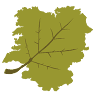 Rías Baixas Gourmet