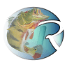 Rio Grande Artigos Para Pesca