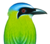 Rio Muchacho Organic Farm & Ecolodge