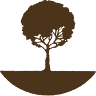 Albero Fiorito