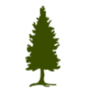 Allen Lumber Co