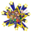 Shining Star Preschool