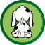 Robinson Pet Shop - Forlì Viale Italia