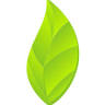The Kratom Shop