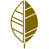 Roga Trauerhilfe-Bestattungen