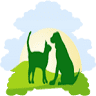Rolling Hills Animal Hospital