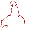 Romediwirt