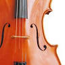 Rondo String Quartet