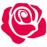 Roos Met Witte Stippen