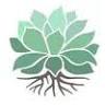 Rooted Mill Valley