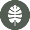 Rooted Plant + Coffee Shop