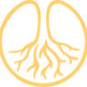 Root Interiors
