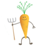 Roots Farm