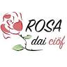 Rosa dai ciöf