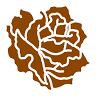 Desert Rose Wellness Center Catania