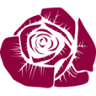 Rosa di Gorizia shop