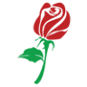 Rosebud Casino