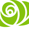 Rose Income Tax Services