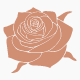 Rose of Jackson