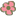 Rose of Sharon at Blossom Hill