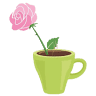 Rosie's Coffee Cafe