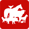 Rossmore Veterinary Hospital
