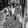 Rosso Conserve di Sicilia