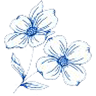 Rouse Mortuary Service & Crematory