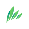 Row Business Solutions