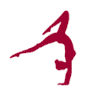 Rowan Gymnastics Club