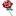 Royal Rose Realty LLC