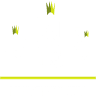 Royal Green Appliance