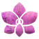 Ruda Arte Floral